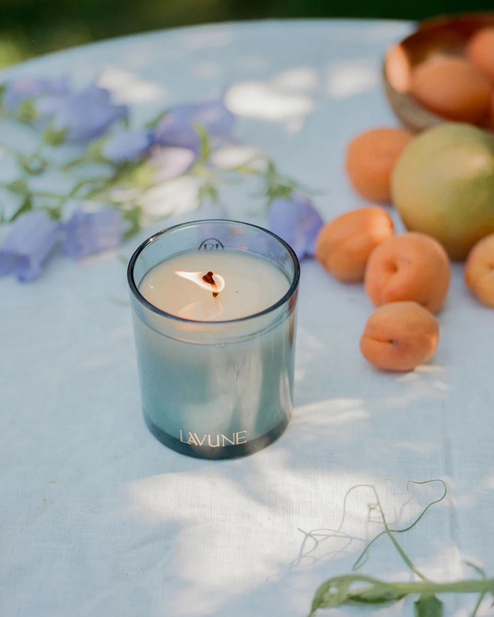 NEW CANDLE CAMPAIGN